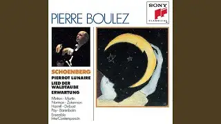 Pierrot lunaire, Op. 21: Part III - 20 Heimfahrt