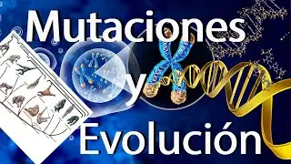 MUTACIONES el motor de la EVOLUCI&Oacute;N de las especies.