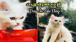 ഐഷുമ്മാന്റെ Day In life Vlog| Persian Cat|ഐഷുമ്മാന്റെ ഒരു ദിവസം ഇങ്ങനെയൊക്കെയാണ് |Usmaniya|
