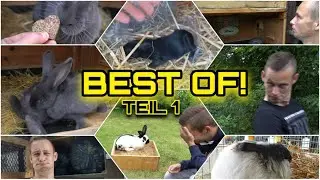 BEST OF SCHUSTRICH - Die besten SZENEN! 😂 Teil 1 | Schustrich S 2.0 ⭐
