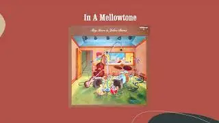 In A Mellowtone - Tiny Moore & Jethro Burns