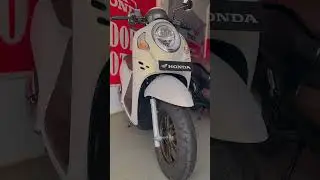 New Scoopy Prestige 2024 #automobile #promomotor #hondamotorcycle #motor #scoopynnew #hondascooter