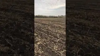 Джон дір 6110в , агропрайд стойка дельтаплау 24 октября 2020 г.