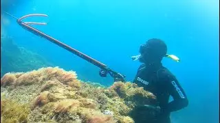 PESCA SUBMARINA VERÃO 2024-ILHA GRACIOSA AÇORES