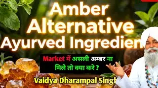 असली Amber नहीं मिले तो ये है इसके आयुर्वेदिक विकल्प ।।  Alternative Of Amber &ndash;Vaid Baba Ji 