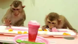 Mouth Watering Princess Lyly Boki Get Sweet Fruit With Sweet Water Ice