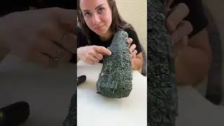 Remote Control Alligator