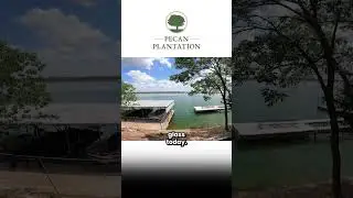 Best Keep Secret In Pecan Plantation Granbury Texas #shorts #texas