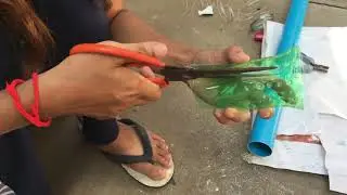 Beautiful Girl Catching Eels   How To Make Eel Trap By Plastic Pipe   Amazing Eel Trap #36