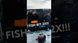 THIS WALLEYE WAS HUNGRY! #redlake #minnesota #icefishing #walleye #walleyefishing