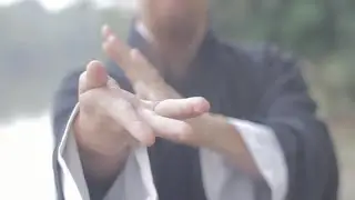 Wudang Taiyi 9 Palace Qigong (performance by Daoist Xià Chóngyì)