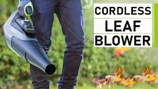 Top 10 Best Cordless Leaf Blower