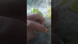 Top most creative mini bike science project. Diy mini bike.