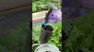 Sky Garden from Plastic Bottles #PlasticBottleDIY #UrbanFarming #UpcycledGarden #DIYGarden