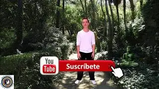 4&ordm; v&iacute;deo del curso gratuito de Chan Si Gong