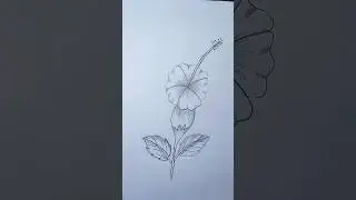 easy flower sketch...! #new #sketch #flower #viralshort #trendingshorts #art