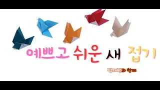 접자쌤 예쁘고 쉬운  새 접기  Easy origami bird
