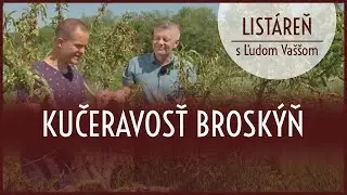 Listáreň s Ľudom Vaššom - kučeravosť broskýň
