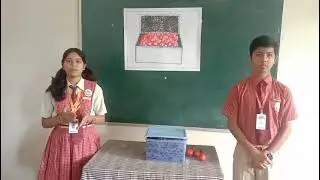 Science Project # Eco Friendly Tomato Storage Container# Class VIII Students