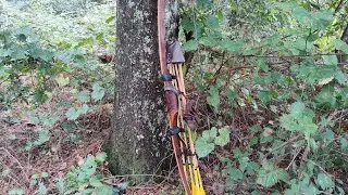 Quiver....or not!