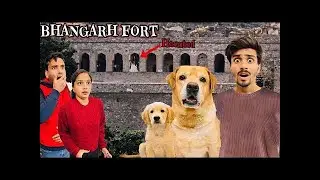 Trip To Bhangarh Fort With Leo & Reo | Most Haunted Place In India/AI/@AnantRastogi@DivvyamGuptaAI