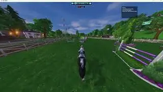 SSO - Sir Tarik's elite show jumping contest - 31.91