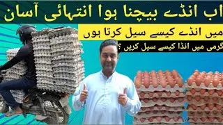 How to sell eggs | Tips for egg selling