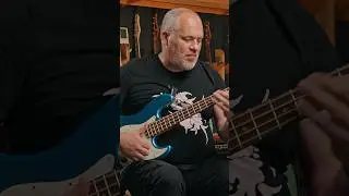 Как звучит бюджетный Jazz Bass?