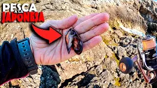 ¡PESCA a la JAPONESA! [En ACANTILADOS PROFUNDOS de Mallorca] Pesca con Mejillón.