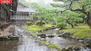 Soft Rain to Calm Your Mind | Rain Sounds for Sleep, Focus, and Relaxation