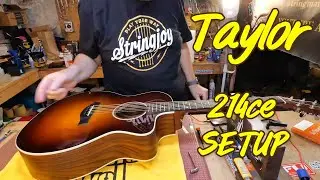 Taylor 214ce Setup Neck Too Straight! EP 439