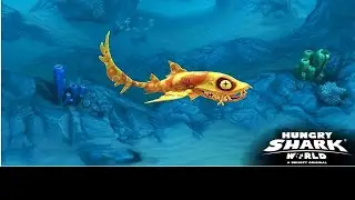 Hungry shark world plan as the Heidi