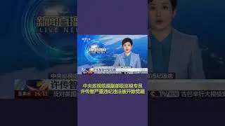 中央巡视组原副部级巡视专员许传智严重违纪违法被开除党籍