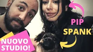 |VLOG| COSTRUISCO IL MIO STUDIO DEI SOGNI PER RICOMINCIARE AD ESSERE CREATIVO! (FEAT. PIP + SPANK)