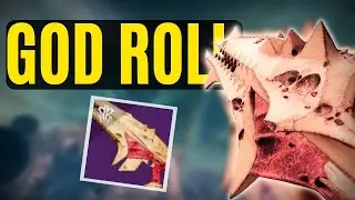 This Pulse Rifle has the BEST perks and it's not even close...