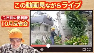 【10月反省会】巨大桑の枝打ち＆笹刈り動画観ながらライブ配信📺️ゲスト：げんきくん🐤千葉県市川市の便利屋！各作業料一覧、お問い合わせ先は概要欄をご覧下さい！