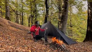 Solo Camping In Strong Winds: Relaxing Tarp Life Autumn Forest🍁