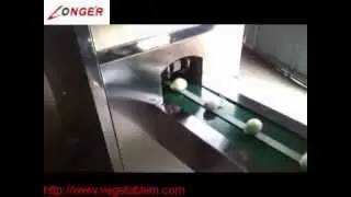 Onion root cutting machine |small onion cutter