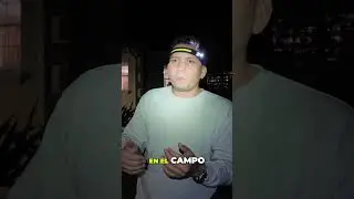 &iquest;Miami o Campo? 😍 La casa PERFECTA S&Iacute; existe