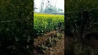 mix by short story