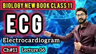 ECG: Electrocardiogram & Electrocardiograph Class 11 | P, QRS & T Waves | Biology New Book 