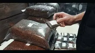 Сталик 34 - Танзания Берли.