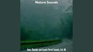 Dull Distant Thunder