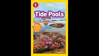PixieLin's Storytime:  Tide Pools by Laura Marsh