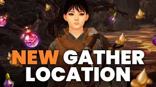 BDO | BEST Caphras Tree Sap Rotation - Lifeskill Quick Guide