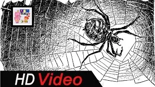 The King and The Spider || Moral Story || Created By ABC. Baby tv