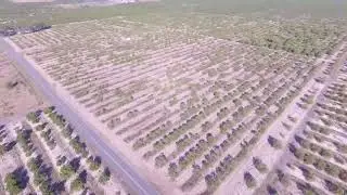 39 acres Industrial Land Use/ Current grove & home income