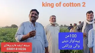 king of cotton new variety@cottonnewseedsaitharshad144 cotton new variety