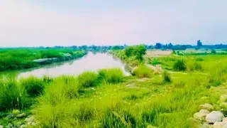 Beautifull View In Basti Merani | Merani Mix Tv | By | Aftab Ali