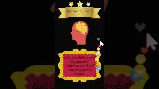 #humanbodyfacts #brainfacts #brainfat #mindfacts #telugufacts #factstelugu #ytshorts